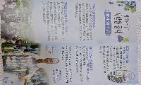 “향기를 키우고 사람을 품다”… 화천 간동면 ‘채향원’ 김응수 대표